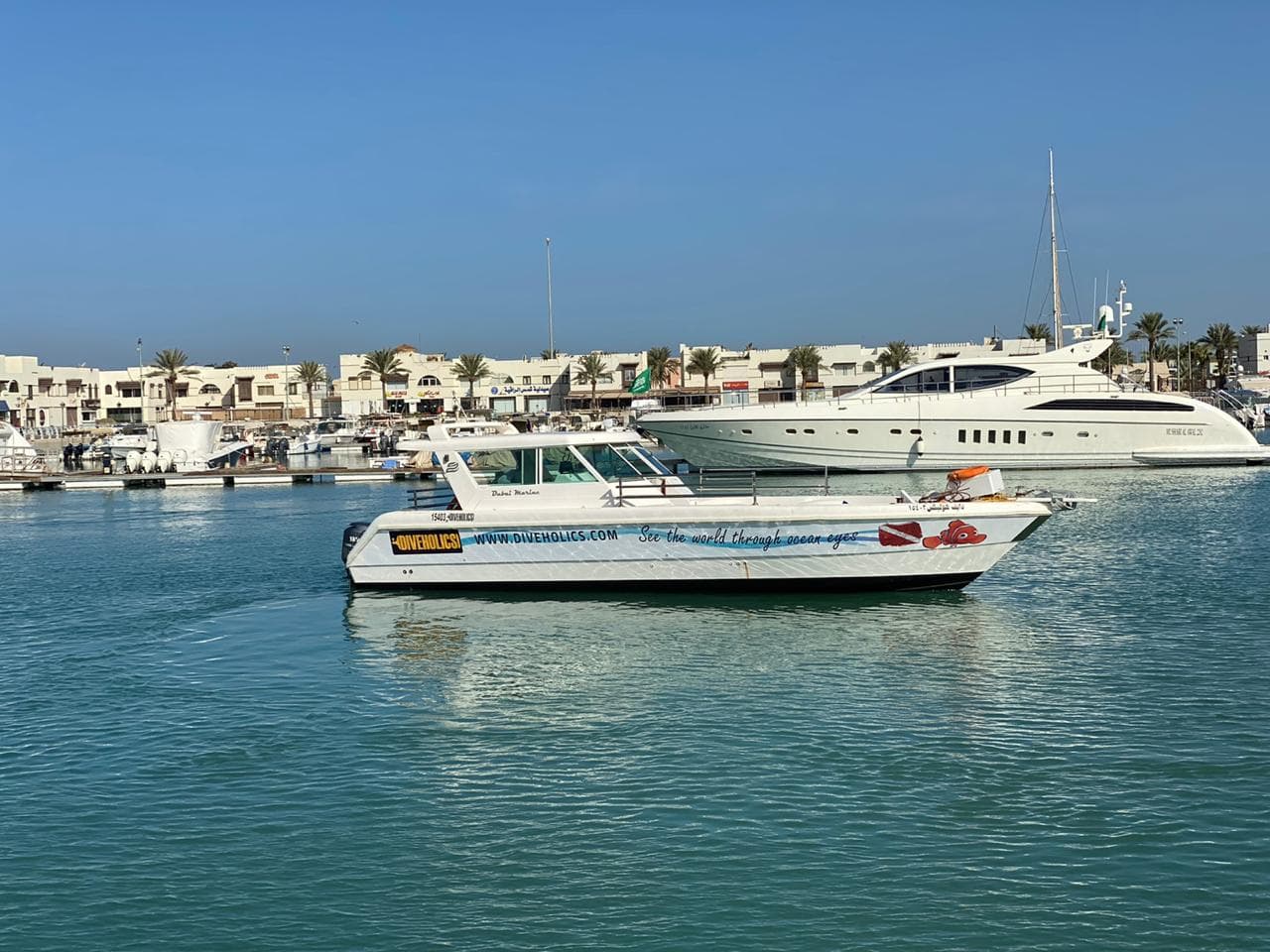 رحلة غوص نصف يوم في البحر الأحمر مع مدرب