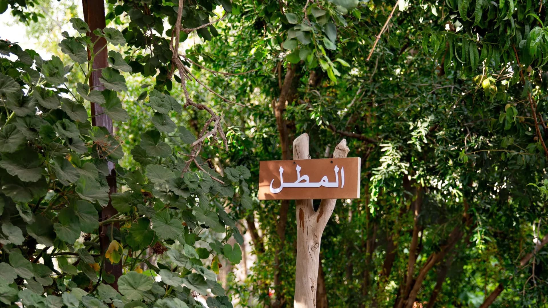 زيارة الى مزرعة الليوان تشمل النقل