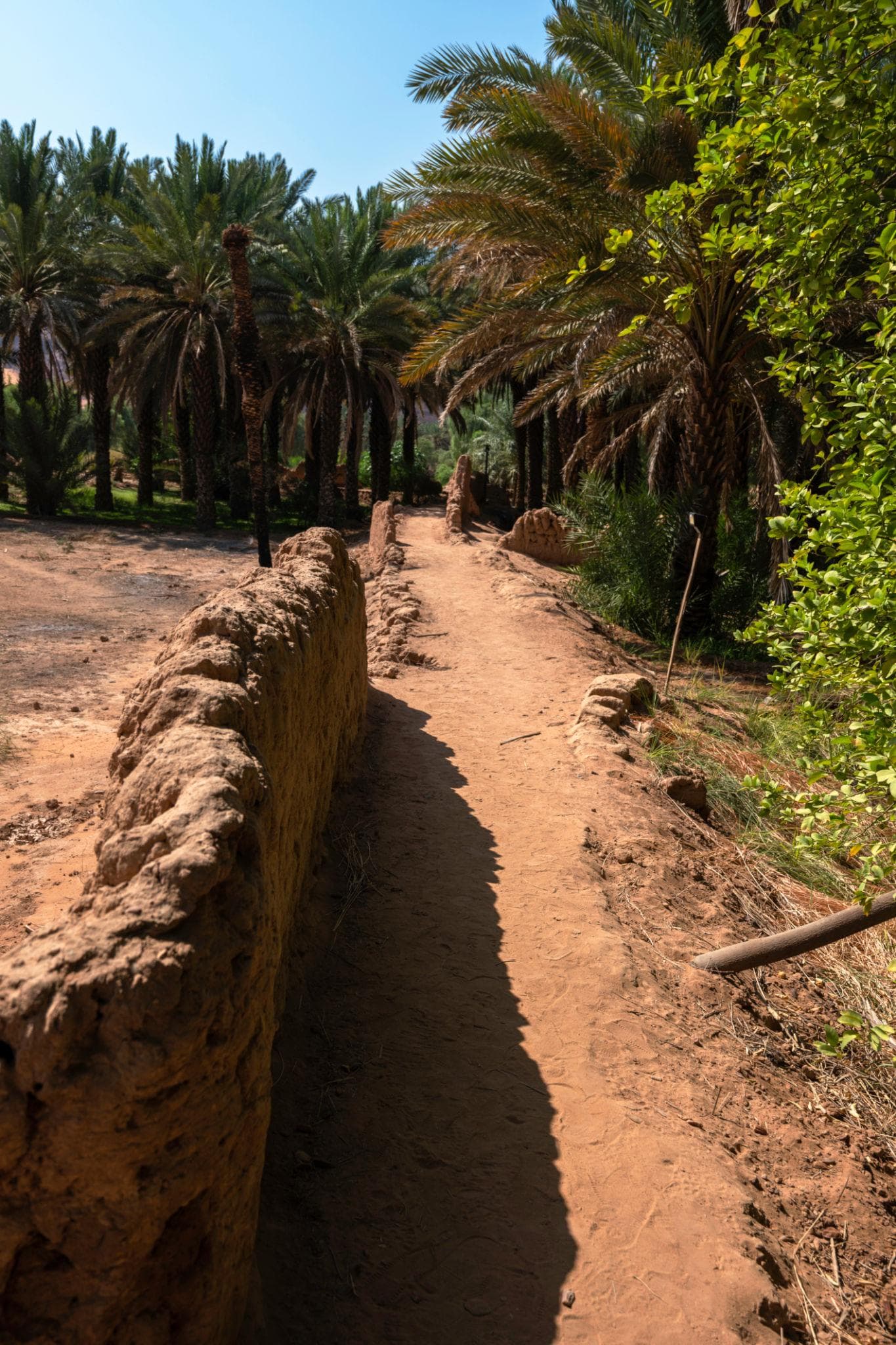 جولة على مسار الواحة التراثي في العلا