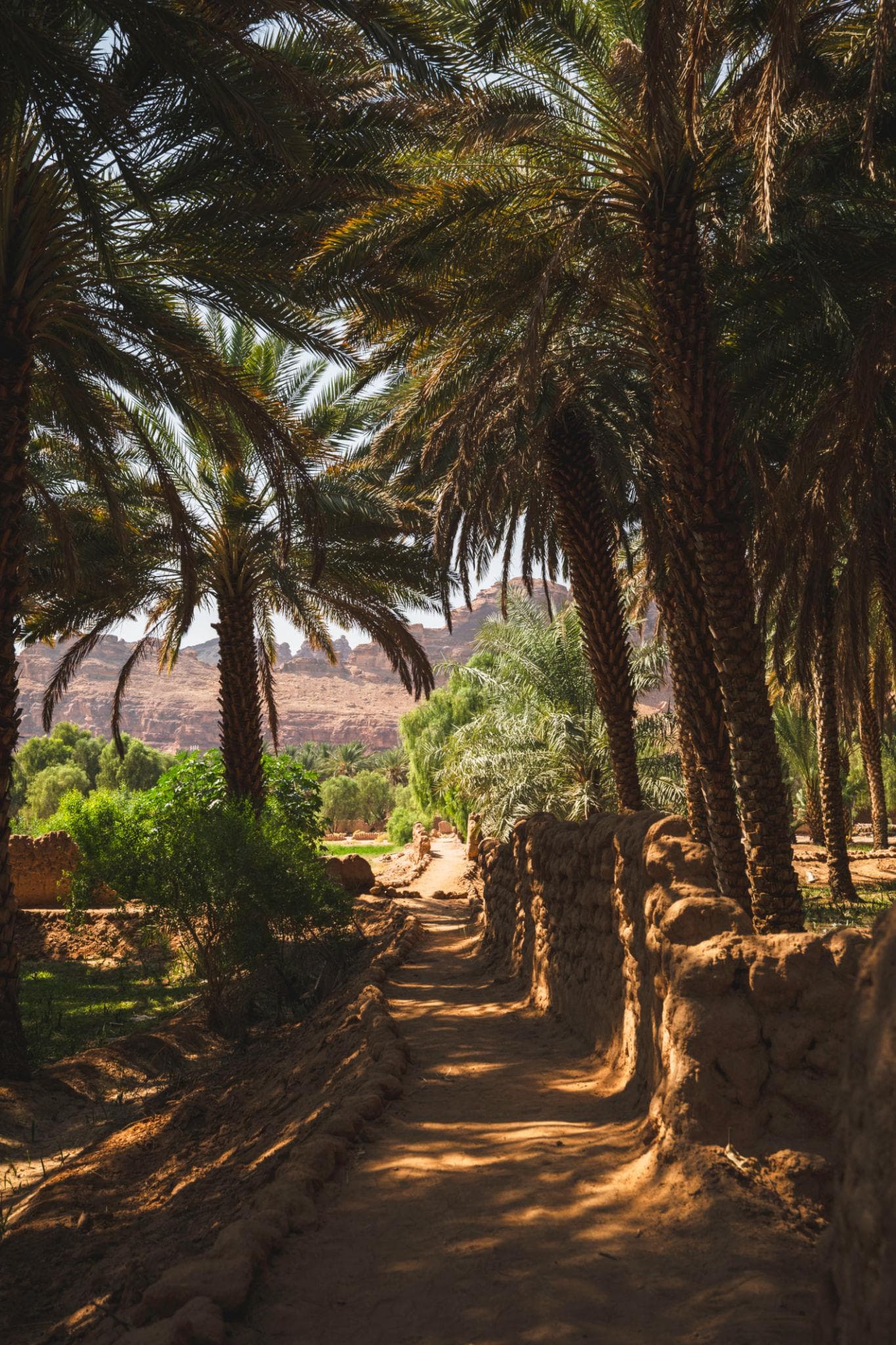 تذكرة مسار الواحة التراثي – للشخص الواحد