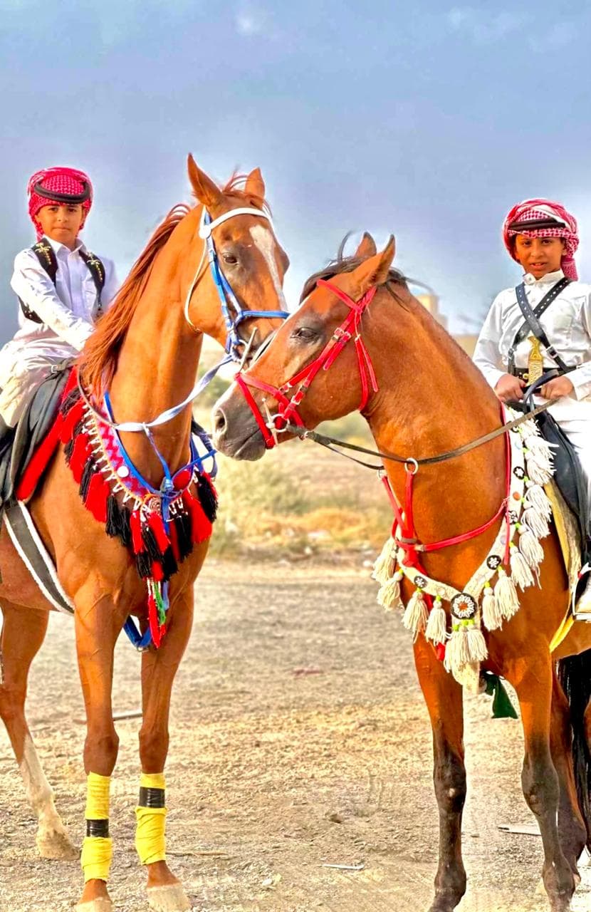 فئة ركوب الخيل – تجربة فردية
