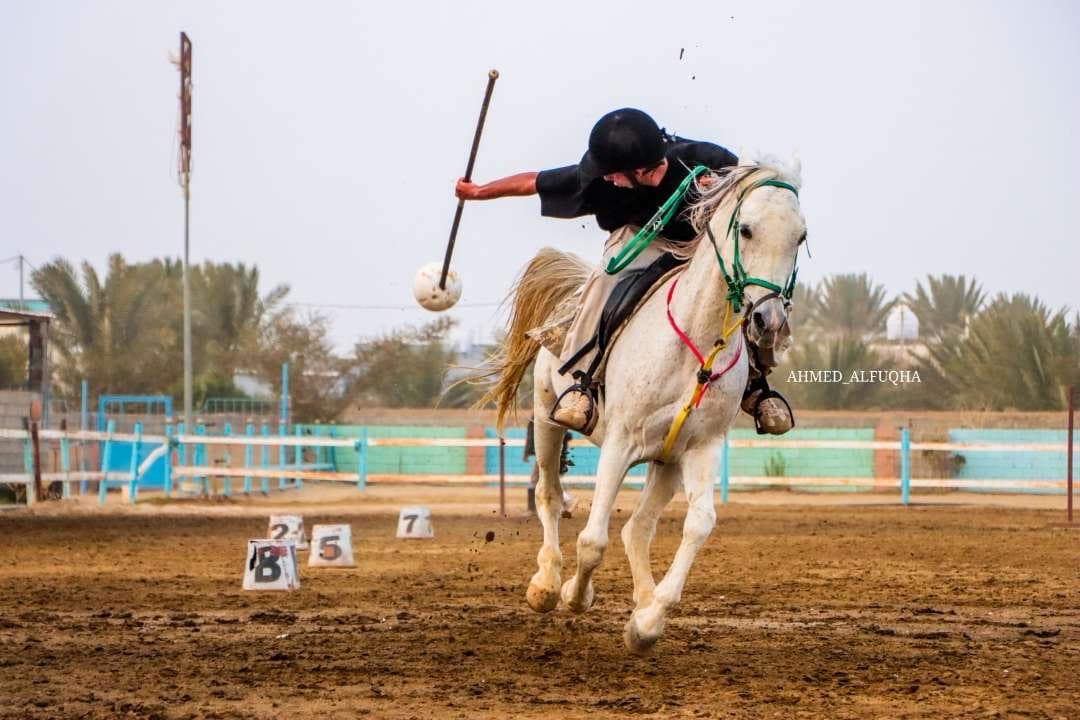 تجارب فال العز التراثية والترفيهية