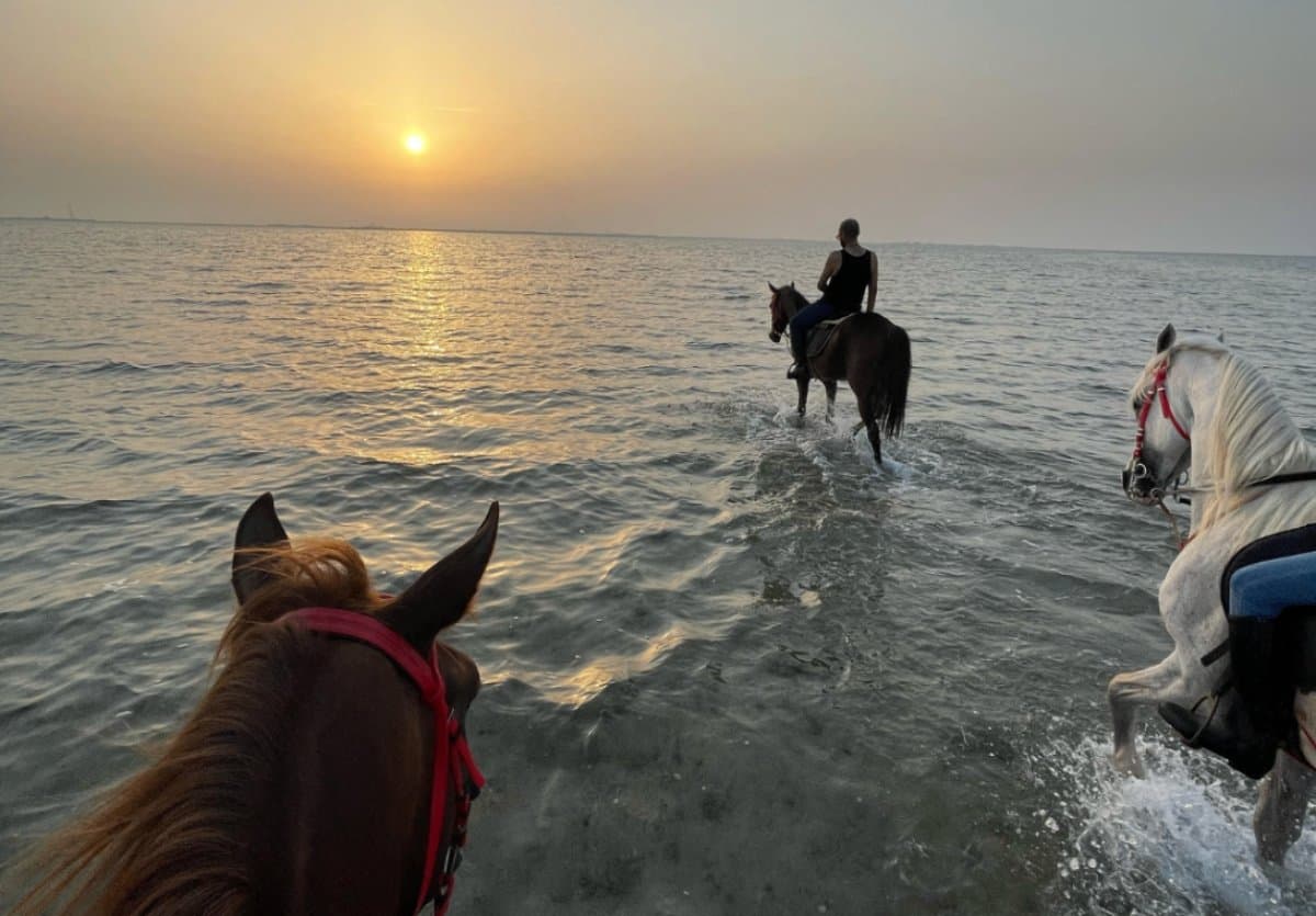 ركوب الخيل في الخبر 