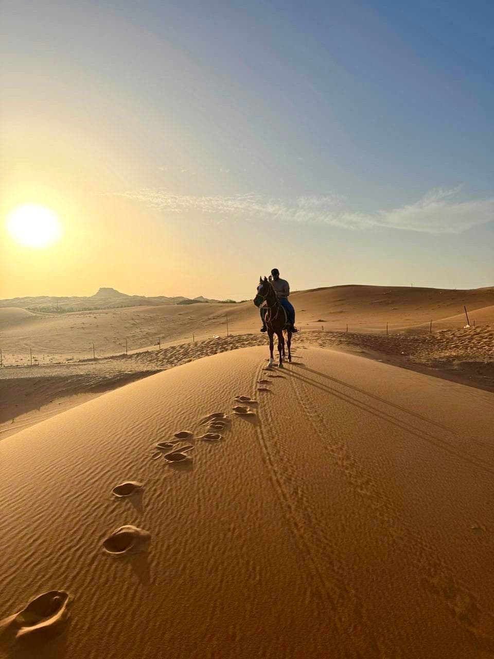 تجربة ركوب الخيل للمبتدئين مع التصوير الفوتوغرافي 