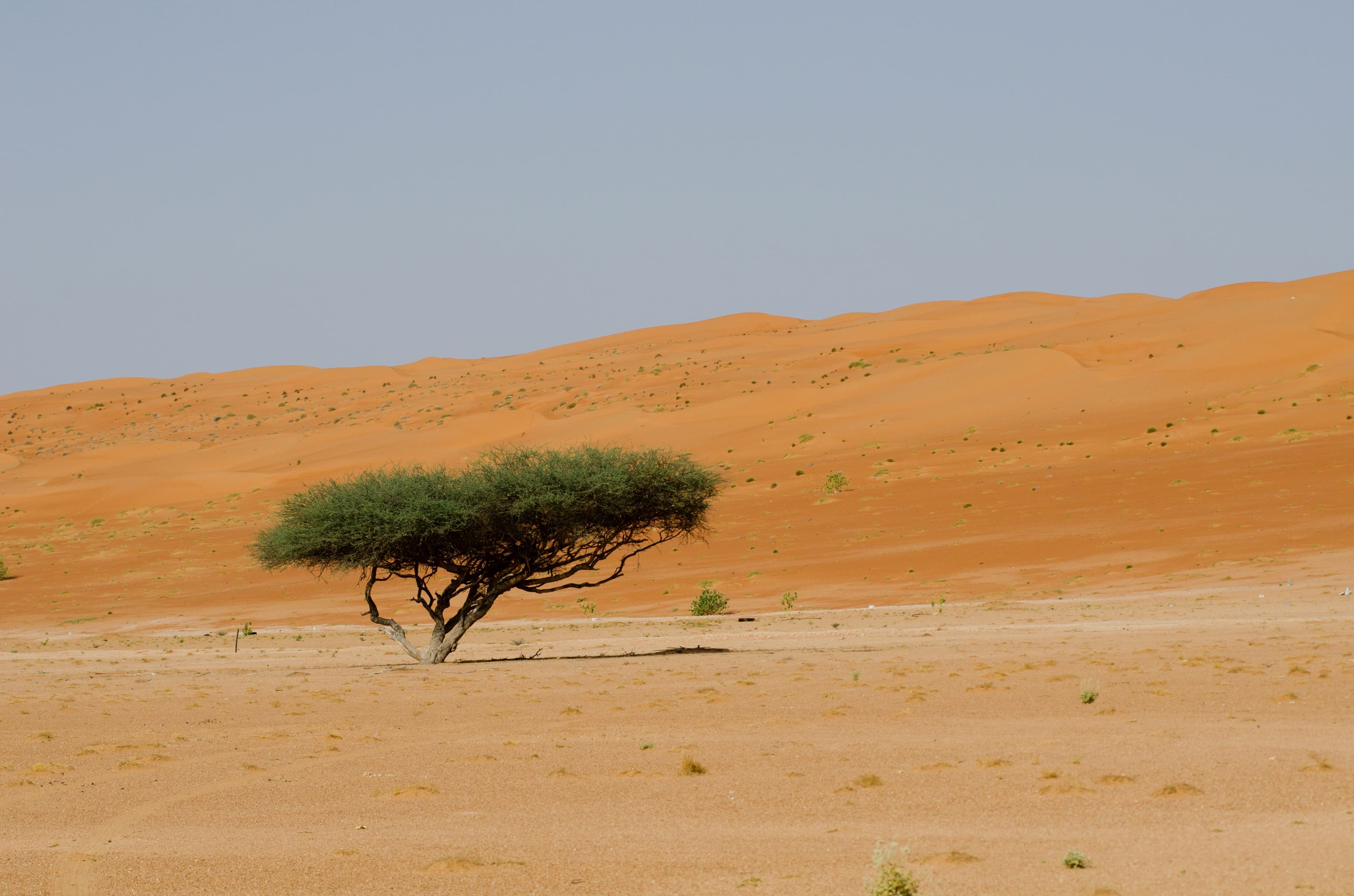 خلود  المرغلاني gallery image 2