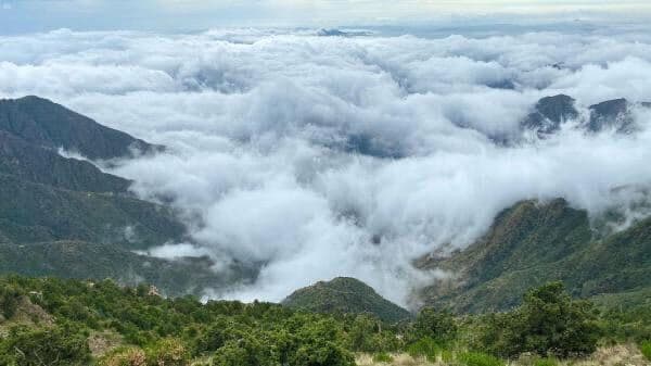 Une authentique excursion Asiri entre Rijal Almaa et les sommets d'Al-Soudah